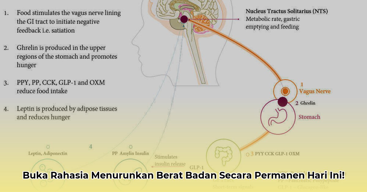 cns weight loss